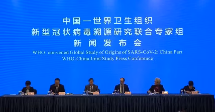 WHO: Covid-19 'rất có thể' có nguồn gốc từ động vật và lây lan sang người