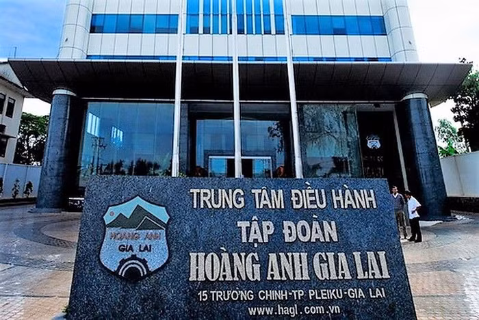 Cổ phiếu HNG bị đưa vào diện cảnh báo