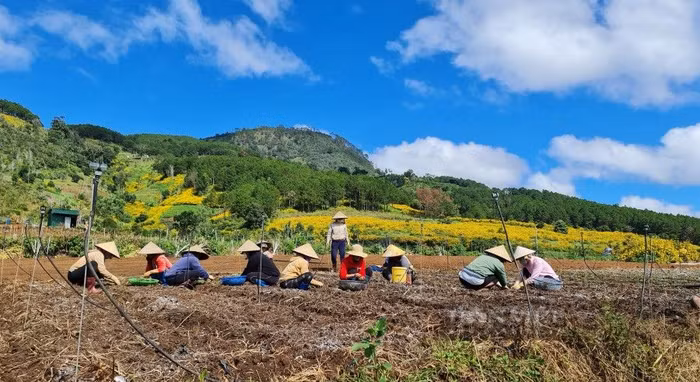 Tân Thành Holdings xin dừng dự án Khu đô thị Giáo dục Khoa học Núi Voi quy mô 700ha