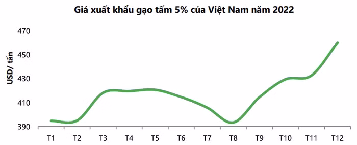 Giá lúa gạo của việt nam