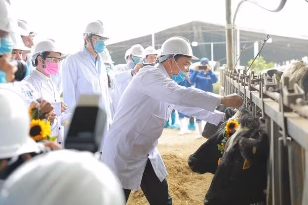 Bộ trưởng NN&amp;PTNT Nguyễn Xuân Cường đeo vòng hoa hướng dương cho các cô bò sữa mới được nhập khẩu của Tập đoàn TH.