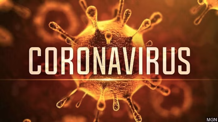 Bộ Y tế công bố đường dây nóng 24/7, xử lý nghiêm kẻ tung tin giả về virus corona