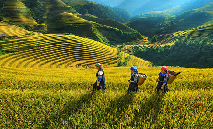 Đã "bơm" 208 nghìn tỷ đồng cho vay khu vực Tây Bắc