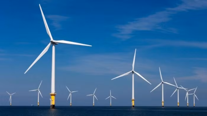 Với công suất tiềm năng là 3,5 GW, Dự án trang trại điện gió ngoài khơi La Gàn là một trong những dự án điện gió ngoài khơi quy mô lớn đầu tiên tại Việt Nam. Ảnh minh họa