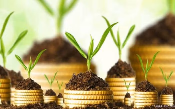 Tháng 6, tháng 7 “săn hàng” trả cổ tức cao mùa chốt quyền