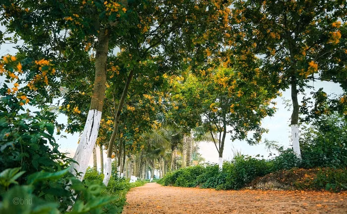  Ecopark là nơi lý tưởng nhất để con trẻ trải nghiệm thiên nhiên