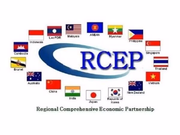 RCEP dự kiến sẽ giúp tạo lập một thị trường xuất khẩu ổn định, lâu dài cho các nước thành viên