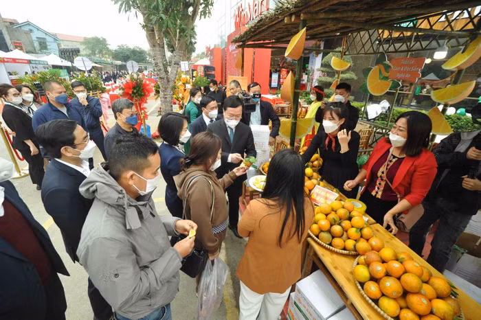 Tuần lễ nông sản - đặc sản Nghệ An và cam Vinh quy tụ 26 gian hàng tham gia.