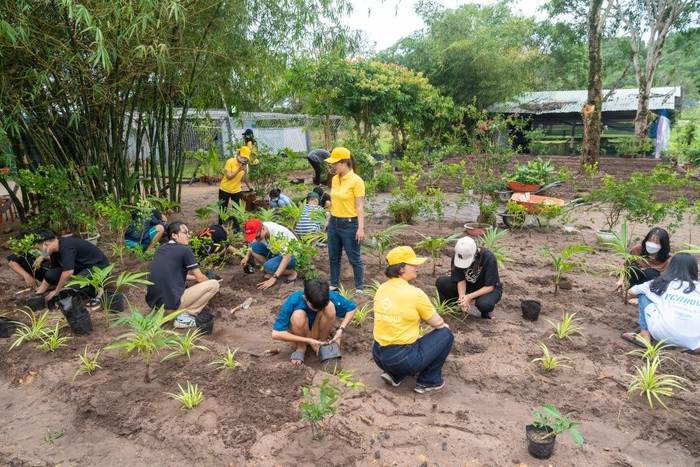 Hàng trăm tình nguyện viên Phú Quốc xuống phố thu gom rác ảnh 8 Hàng trăm tình nguyện viên Phú Quốc xuống phố thu gom rác ảnh 8
