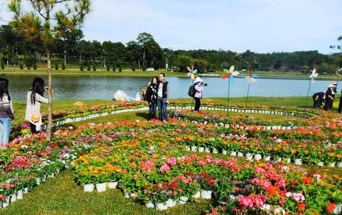 Festival hoa Đà Lạt 2022 sẽ được tổ chức thành chuỗi sự kiện diễn ra xuyên suốt 2 tháng, từ ngày 1/11 đến ngày 31/12/2022