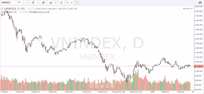 chứng khoán tuần