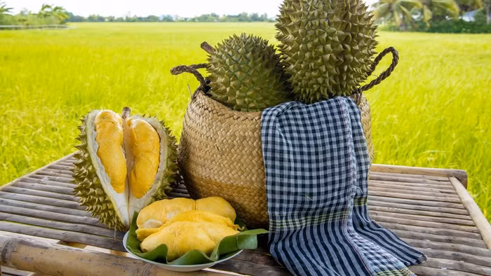sầu riêng