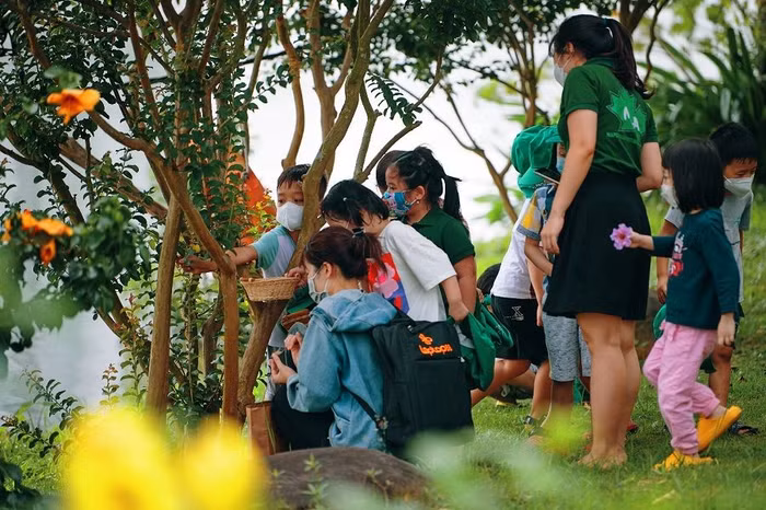 Trẻ em bắt ve trong công viên
