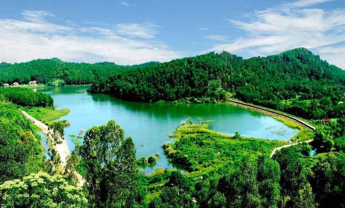 doanh nghiệp xuân trường