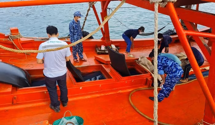 Lực lượng Cảnh sát biển bắt giữ tàu chở dầu trái phép