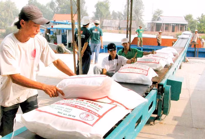 Nếu chiếu theo quy định của điều 7 Luật Đầu tư về sự cần thiết phải ban hành thì các hoạt động kinh doanh xuất khẩu gạo không gây mất an ninh lương thực do Việt Nam dư cung gạo nhiều năm.