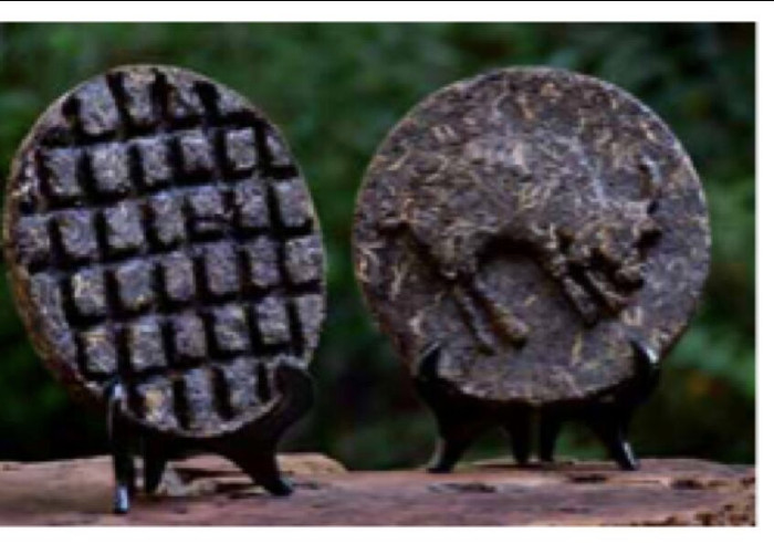 Săn mây trên đỉnh Tà Xùa ảnh 1