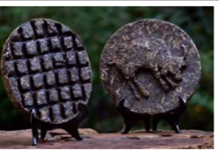 Săn mây trên đỉnh Tà Xùa ảnh 1