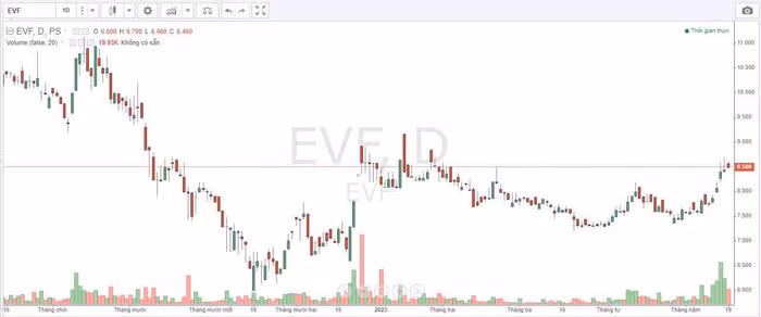 Tổng giám đốc EVNFinance