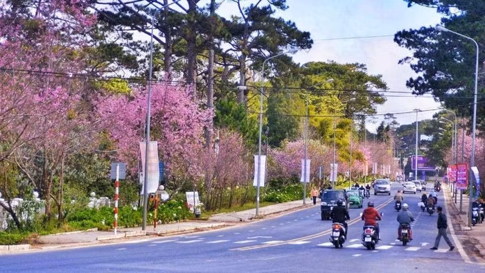 Thành phố Đà Lạt