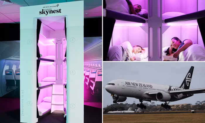 skynest