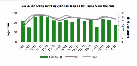 ngành cá tra