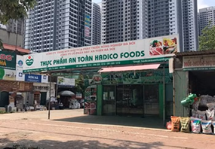 Bất ổn về nhân sự, nợ thuế hàng chục tỷ, Hadico sẽ đi về đâu?