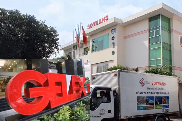Gelex đã “mua gom” 24,93% vốn Sotrans giá cao?