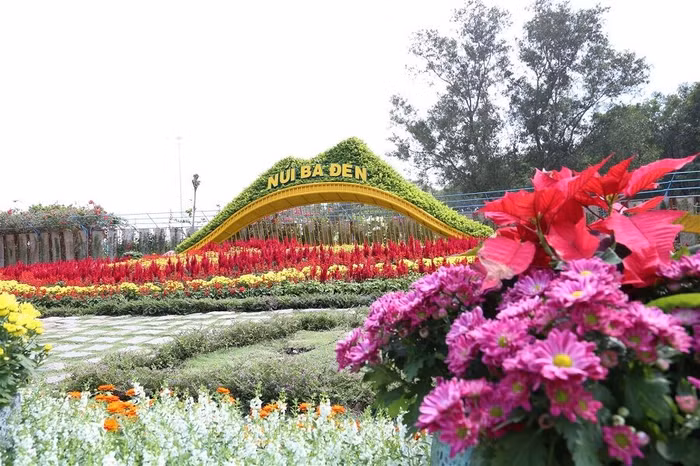 Ngắm nhìn Núi Bà Tây Ninh đẹp vi diệu những ngày đầu xuân