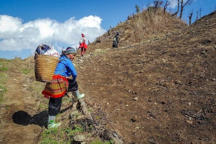 Những người Mông dẫn đường: Ấm áp du lịch đi lên từ bản ảnh 1