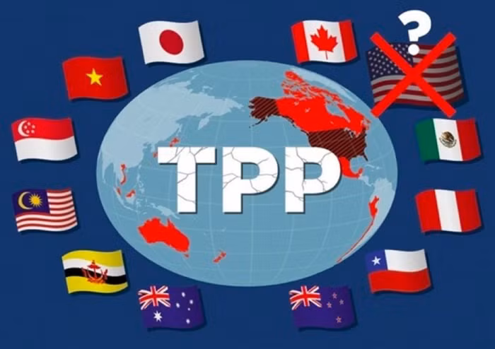 Thời đại của CPTPP: Khi quyết tâm chính trị tạo nên thành công