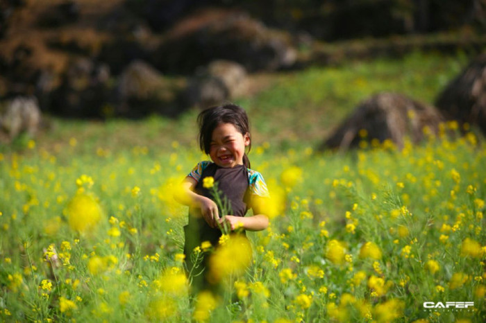Đến Hà Giang mùa xuân, ngẩn ngơ xem đá hoa nở ảnh 10
