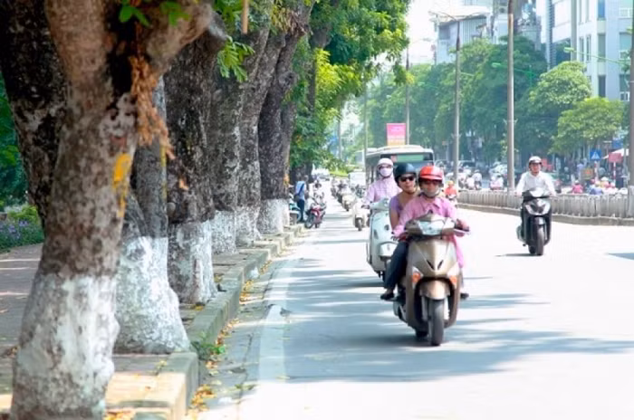 Miền Bắc ấm dần lên, vùng núi cao vẫn rét dưới 5 độ C