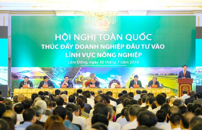 Thủ tướng chủ trì Hội nghị thúc đẩy đầu tư vào nông nghiệp