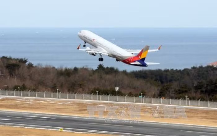 Thêm một hãng hàng không giá rẻ Hàn Quốc mở đường bay tới Việt Nam