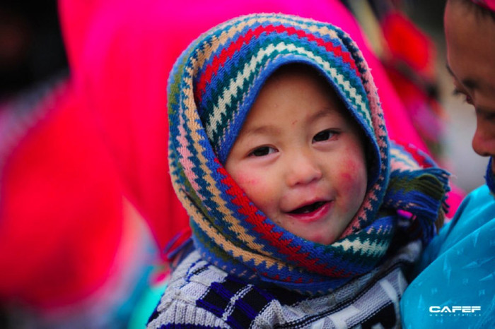 Đến Hà Giang mùa xuân, ngẩn ngơ xem đá hoa nở ảnh 7