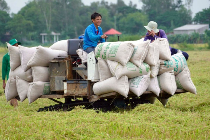 Quyết liệt tổ chức sản xuất theo chuỗi