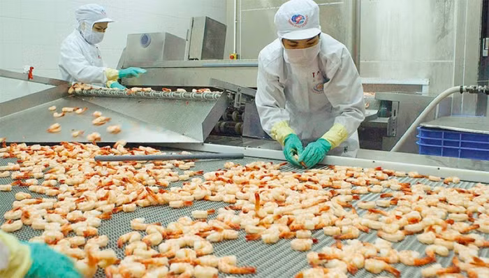 Xuất khẩu tôm nhắm mốc 10 tỷ USD