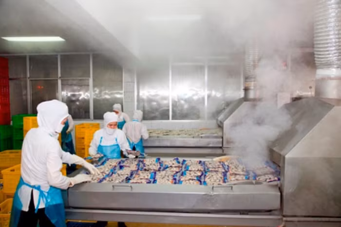 Vốn Nhật ưu ái doanh nghiệp Việt