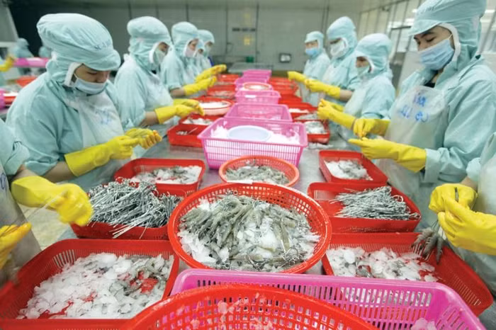 Môi trường kinh doanh Việt Nam: Cần sức nóng cải cách lan rộng