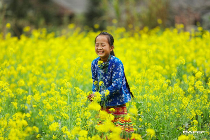 Đến Hà Giang mùa xuân, ngẩn ngơ xem đá hoa nở ảnh 9