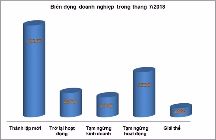 Doanh nghiệp biến động mạnh: Khó khăn đang kéo đến? ảnh 1