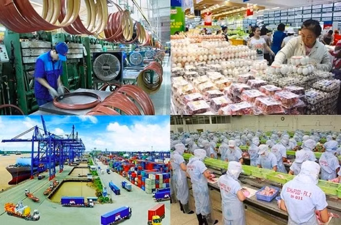 IMF: Kinh tế Việt Nam nhiều triển vọng tích cực