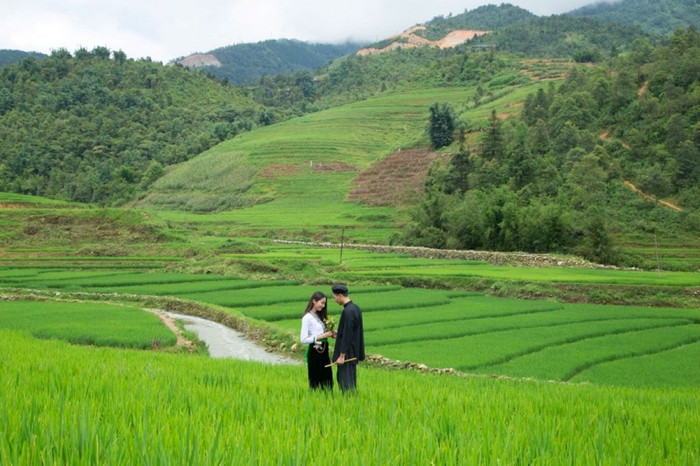 Tập đoàn Mường Thanh và cách quảng bá du lịch bằng âm nhạc