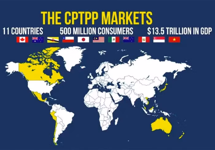 Sau hai tháng nữa, CPTPP chính thức có hiệu lực