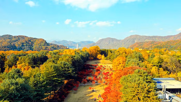 Mùa thu với sắc cam, vàng, đỏ tại xứ sở kim chi Hàn Quốc