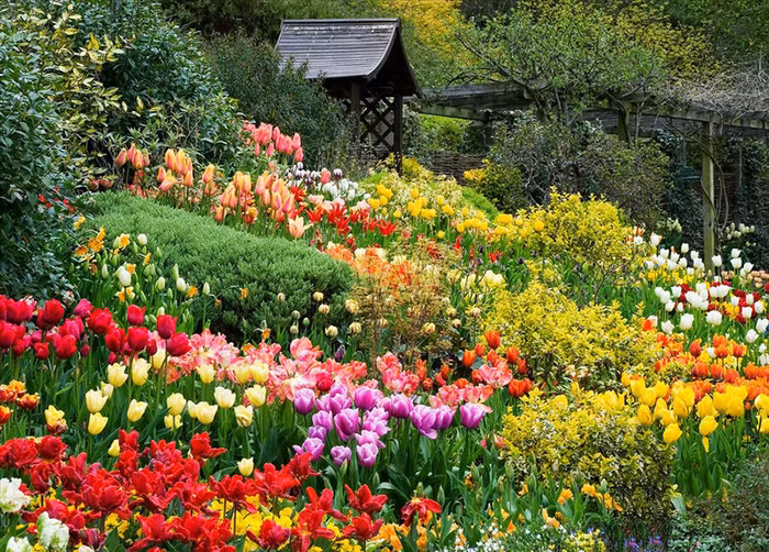 Nhiều loại hoa tươi và cây, lá trang trí mới lạ sẽ được trưng bày quanh hồ Xuân Hương