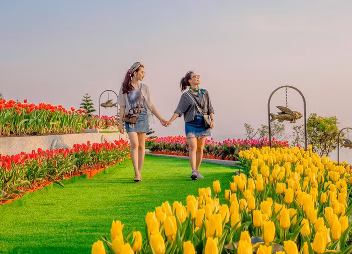 Cận cảnh vẻ đẹp rực rỡ của những vườn tulip “khủng”