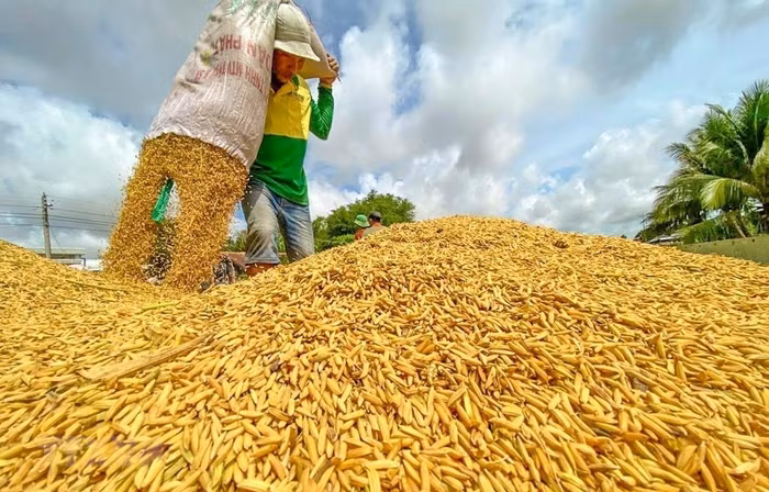 Để nông nghiệp Việt Nam bứt phá giới hạn