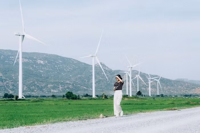 Nhà máy điện gió Đầm Nại xây dựng tại thôn Láng Me, xã Bắc Sơn, huyện Thuận Bắc, tỉnh Ninh Thuận, với diện tích 9.6ha